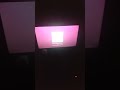 barney backwards