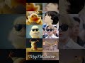 # jimin #bts #kpop #army #cute#shortfeed#trendind#virel