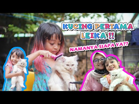 LEIKA PUNYA KUCING BARU, NAMANYA SIAPA YA??