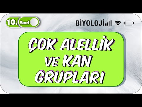 10. Sınıf Çok Alellik ve Kan Grupları  Basit Konu Anlatım #2023