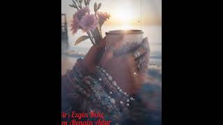 Tırnağın Kırılsa Beni Hatırla Şiir Ezgin Kılıç, Rengîn Adar