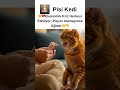 🐱💸 Sevimli Kedi Payını İstiyor… Alamayınca Üzülüyor #cat #kedi #funny #c...
