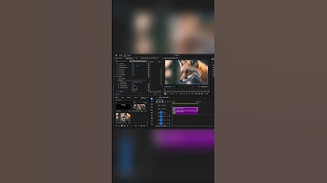 Master Parallax Animation: Bring Photos to Life in Premiere Pro