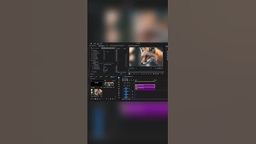 Master Parallax Animation: Bring Photos to Life in Premiere Pro