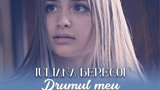 Iuliana Beregoi-Drumul meu (versuri)
