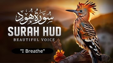 وكأنك تسمعها لأول مرة | أواخر سورة هود بصوت إسلام صبحي