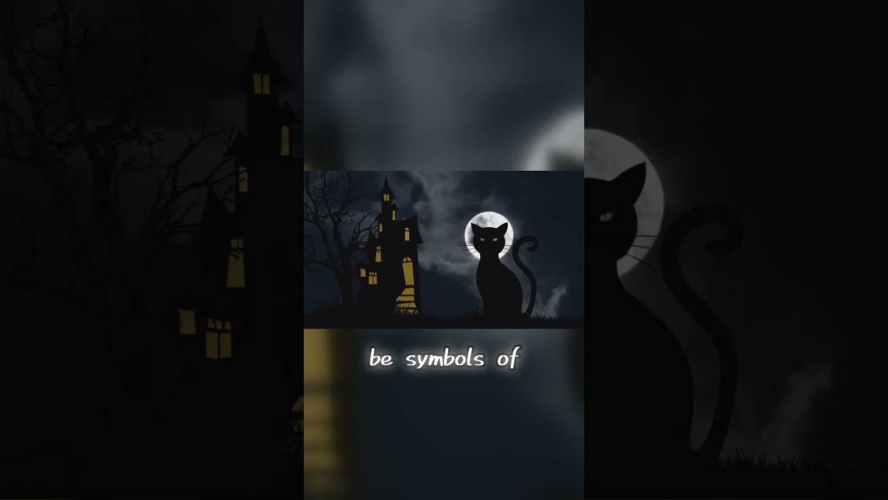 Is a Black Cat in Your Dream a Sign of Luck or Doom?