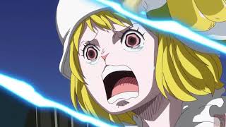 AMV Carrot sulong One Piece