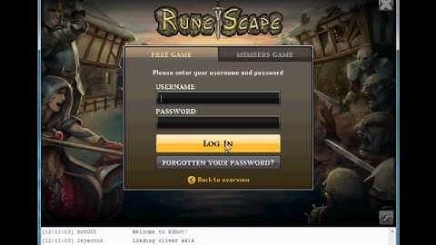 How to download and run RSbot