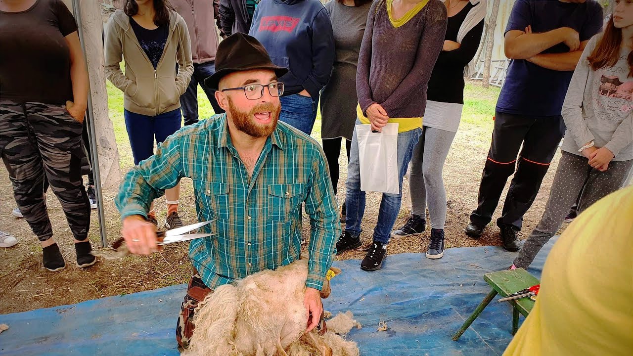 🐑Gyapjúból fonal 