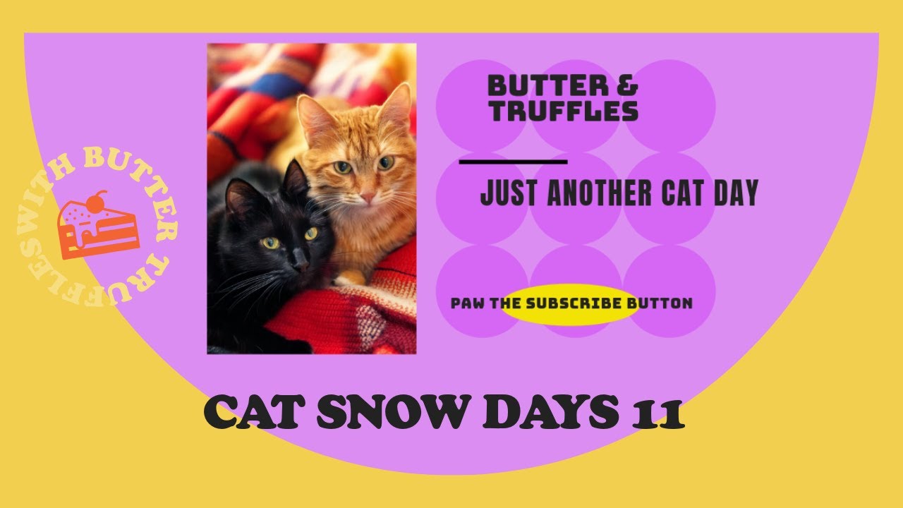 Butter & Truffles ❄️ Snow Days Compilation | Cozy Winter Moments 