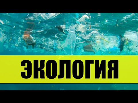 ЭКОЛОГИЯ. Жизнь без пластика