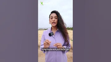 أهم مسيلات الدم الطبيعية لتجنب الجلطة 