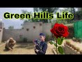 How to protect the grass ! Green Hills Life ! Soft food for chicks