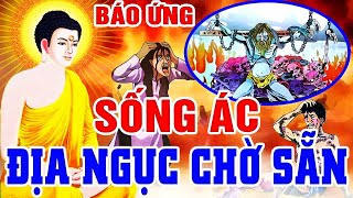 Nhân Quả Báo Ứng, SỐNG ÁC ĐỊA NGỤC CHỜ SẴN - Luật Nhân Quả Không Chừa Một Ai Chớ Xem Thường