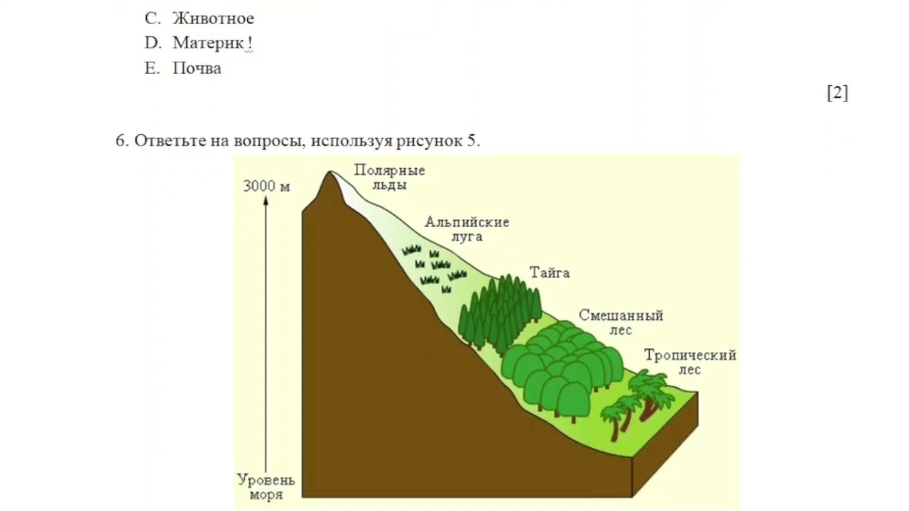 Объяснить различия структуры высотной поясности