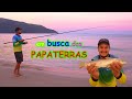 em BUSCA das PAPATERRAS - Pesca de PRAIA!!!