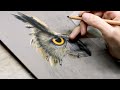 Ralisation dun hibou en crayons pastel par marion tubiana