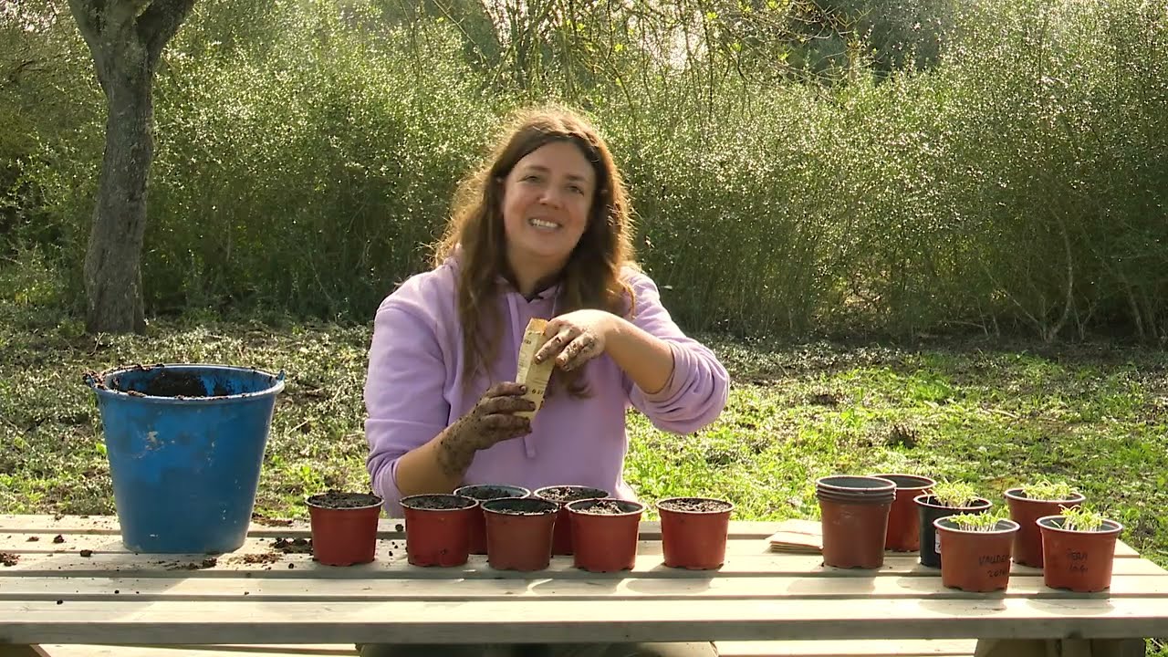 Planters i bancals a una finca d'Algaida - Uep IB3