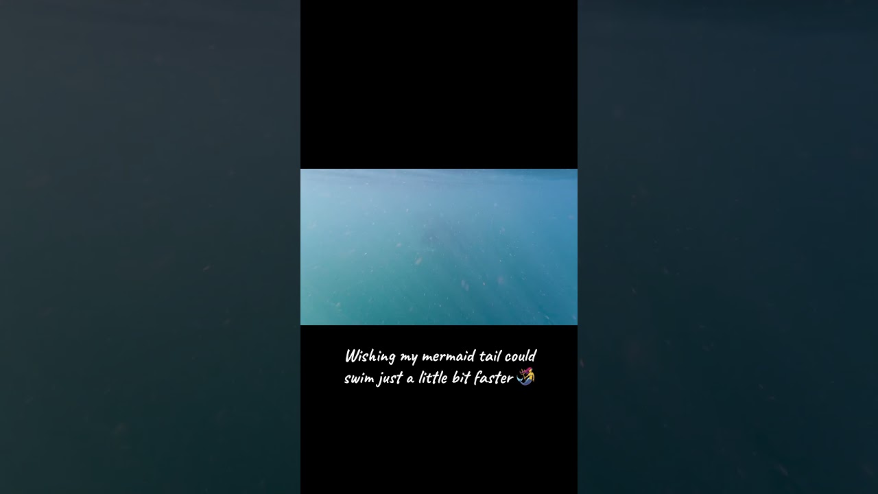 Swimming with a momma & baby whale today 💙 