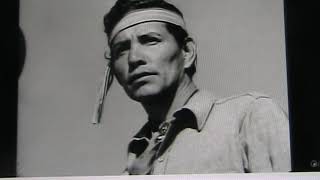 Jay Silverheels: a Canadian hero