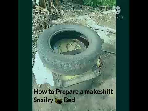 Video: How To Make A Snail From A Tire