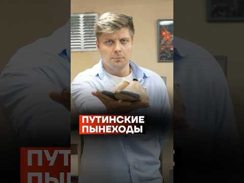 Путинские пынеходы #shorts