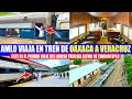 MIRA:AMLO realiza el primer viaje del Tren de pasajeros del istmo de Tehuantepec Oaxaca-Veracruz