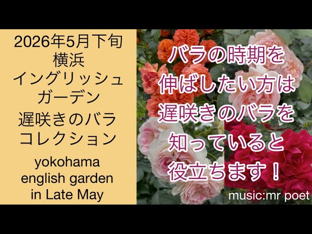 Late May 2026 at Yokohama English Garden: 