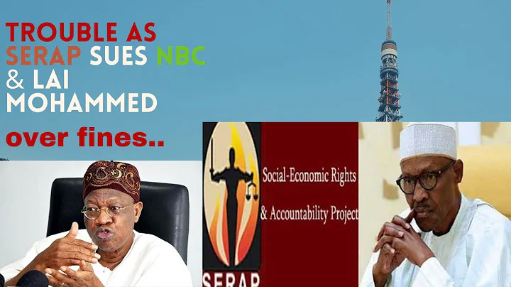 Trouble Looms as SERAP 261 others sue Lai Mohammed...
