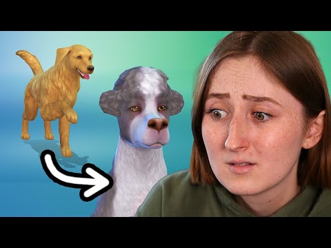 What Happens To Pets In The Sims After 10 Generations? - Youtube