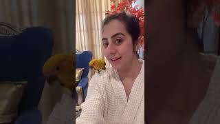 Actress Sanjjanaa Galrani💖My lovely, my  pet, love of my life🐦🥹My sunkunnur bird learning to talk