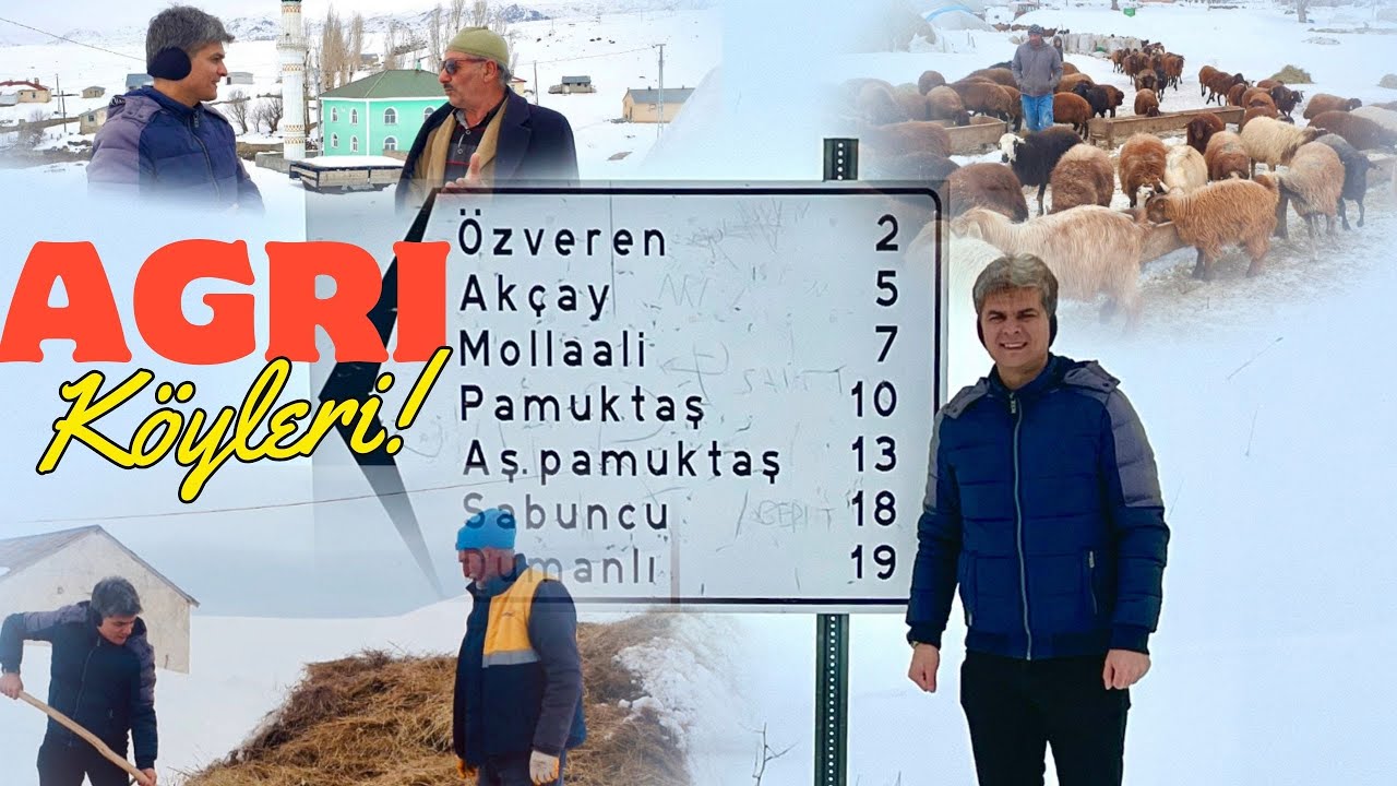 AĞRI MERKEZ; ÖZVEREN, AKÇAY, MOLLAALİ, YUKARI PAMUKTAŞ, AŞAĞI PAMUKTAŞ VE KONAK KÖYLERİ