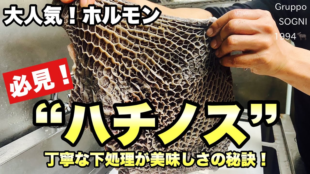 【炭火焼ばつぐんや7】必見‼️牛ホルモンの人気部位!“ハチノス“の仕込み動画!🎥牛の第2胃袋です🐝 - YouTube