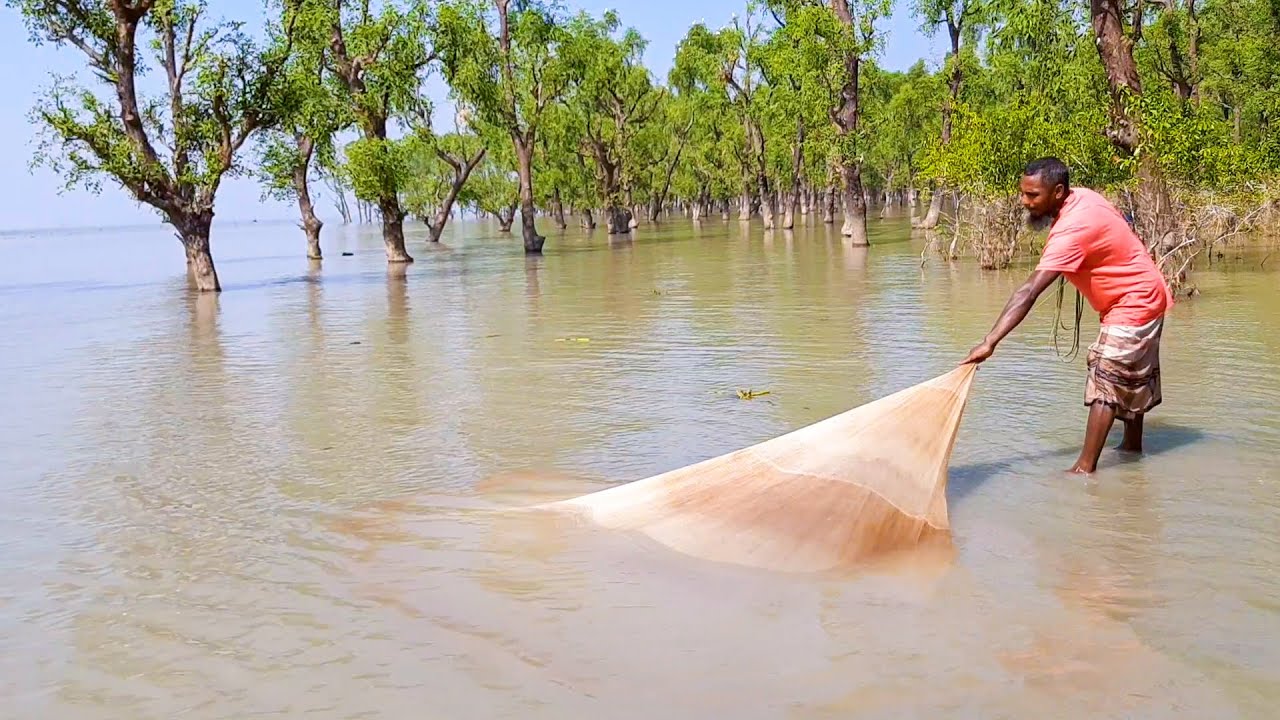 Best fishing video in the village river landscape | Net fishing with natural beauty