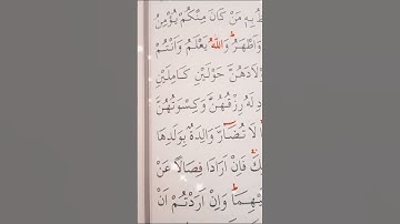 سورة البقرة الأية 233 القارئ مشاري راشد العفاسي