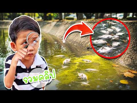 Compilation of Little Detective Clips: Solving the Mystery of Why the Pond Is Full of Dead Fish |...