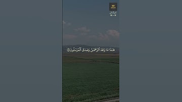 سورة يس   51   54   احمد عبدالرازق نصر