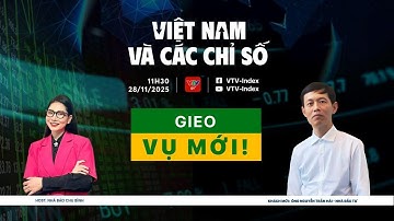 VIỆT NAM VÀ CÁC CHỈ SỐ 28/11: GIEO VỤ MỚI!