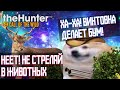 Вкратце про theHunter: Call of the Wild