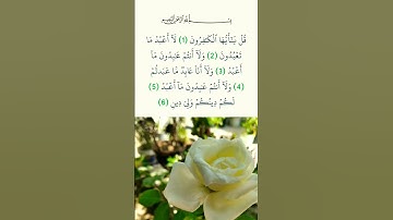 سورة الكافرون ❤️ القارئ فارس عباد
