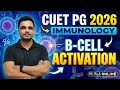 B-Cell Activation: T-Dependent vs Independent Pathways | CUET PG 2026