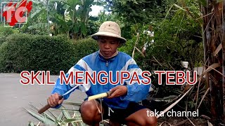 TEBU MANIS