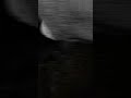 Random Astronomical video #15 #Space #Moon #Science #DidYouKnow #Astronomy #SolarEclipse #NASA