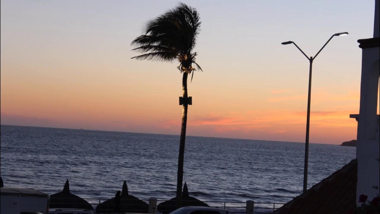 Rosa Maria se fue ala Playa/Los Moonlights Rosa Maria se fue ala Playa/Los Moonlights