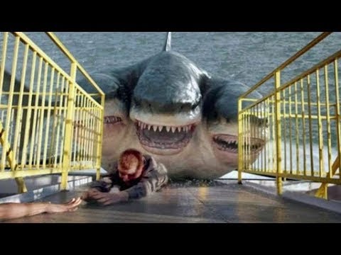 SĂN CÁ MẬP Phim chiếu rạp hay nhất Mỹ 2020 siêu kinh dị cá mập 4bđầu