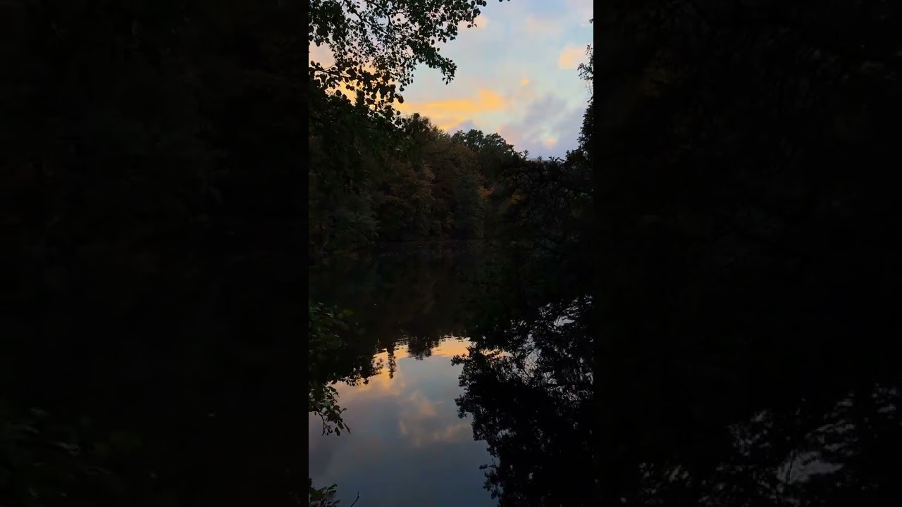 ❗Видео взято с тт❗ 