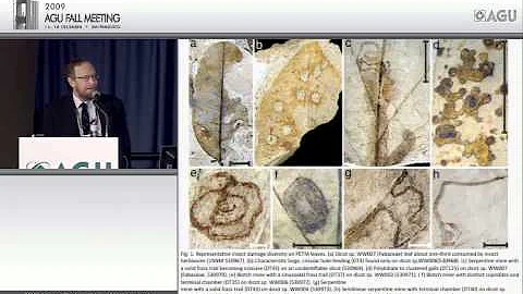 Fall Meeting 2009 Bjerknes Lecture - The Biggest C...