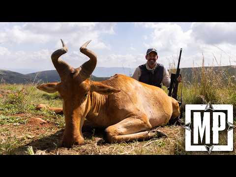 Limpopo South Africa: Lichtenstein's Hartebeest & Limpopo Bushbuck | Mark V. Peterson Hunting