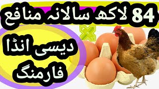 Desi Egg Farming Business Plan. How to Start Desi Egg Farming Business in Pakistan in Urdu Hindi.